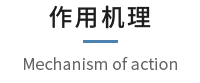 作用机理.png