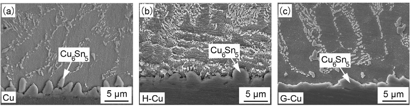 SAC305和Cu基板的界面IMC。